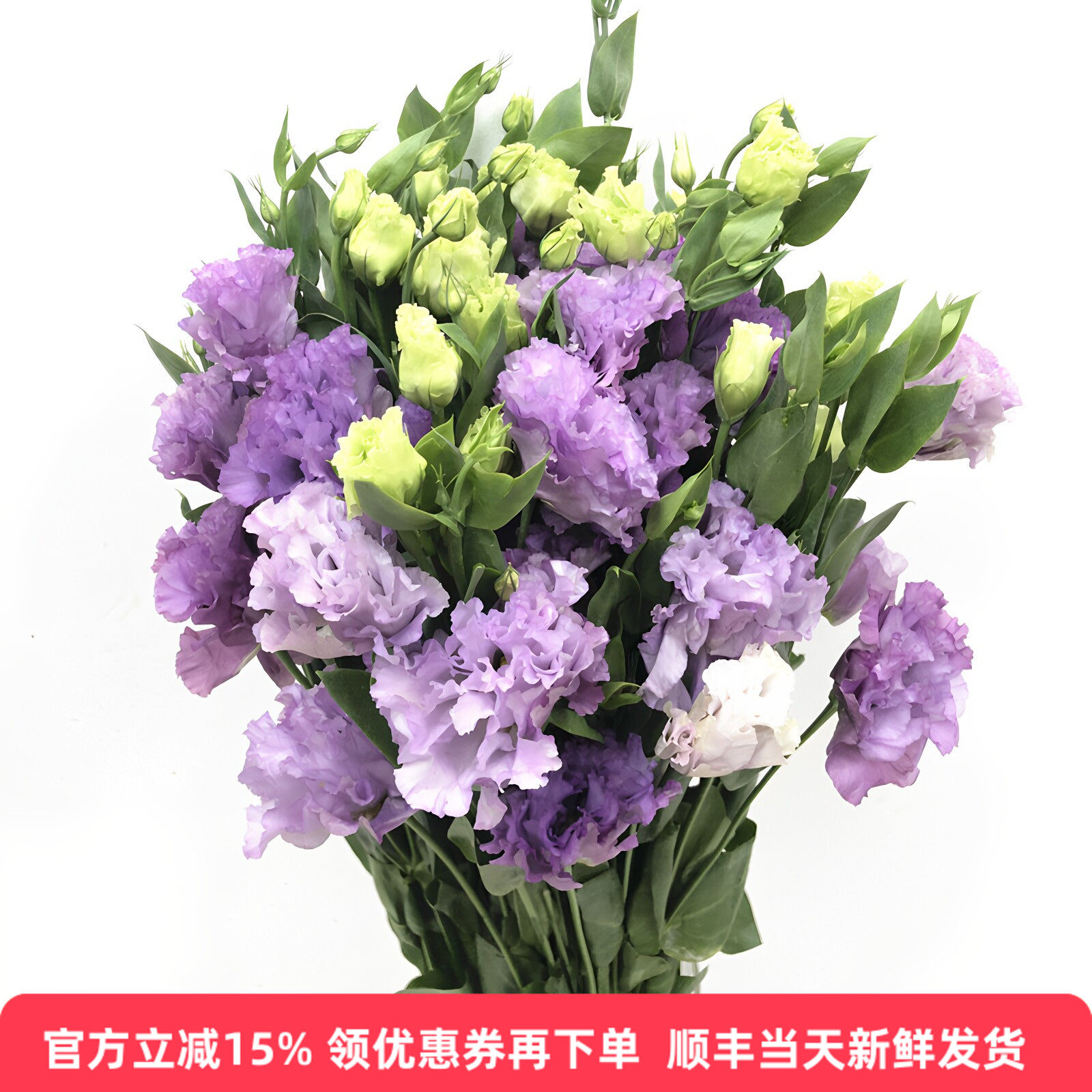 紫波浪花瓣龙胆洋桔梗北京同城速