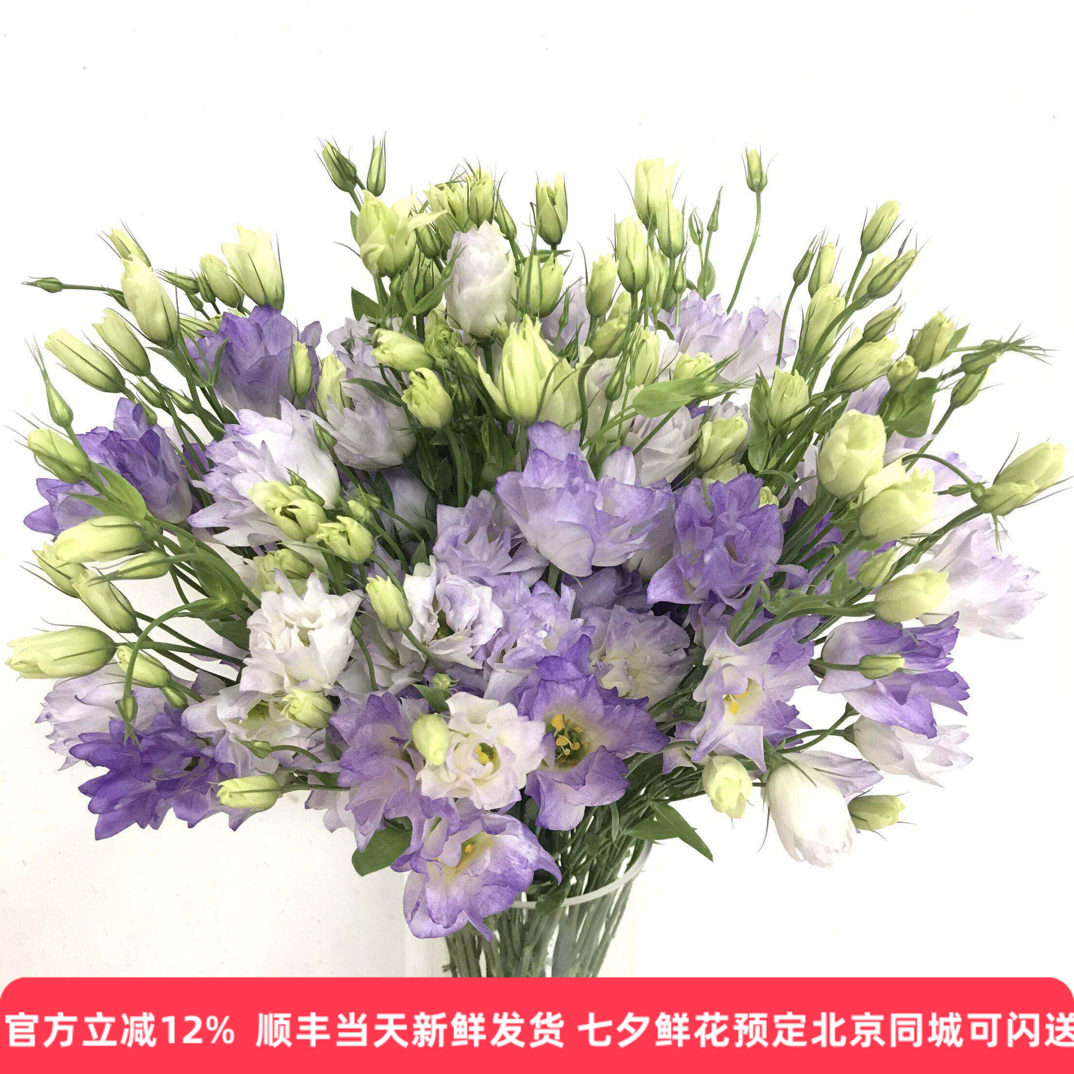 紫微星洋桔梗渐变紫水培鲜切花