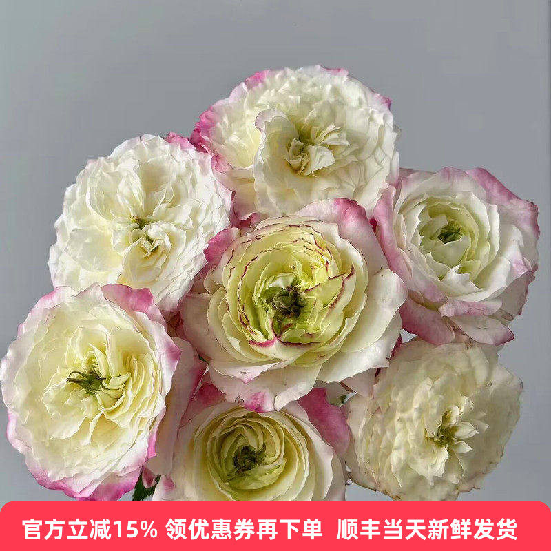 小粉兔玫瑰花调香师初妆水养同城