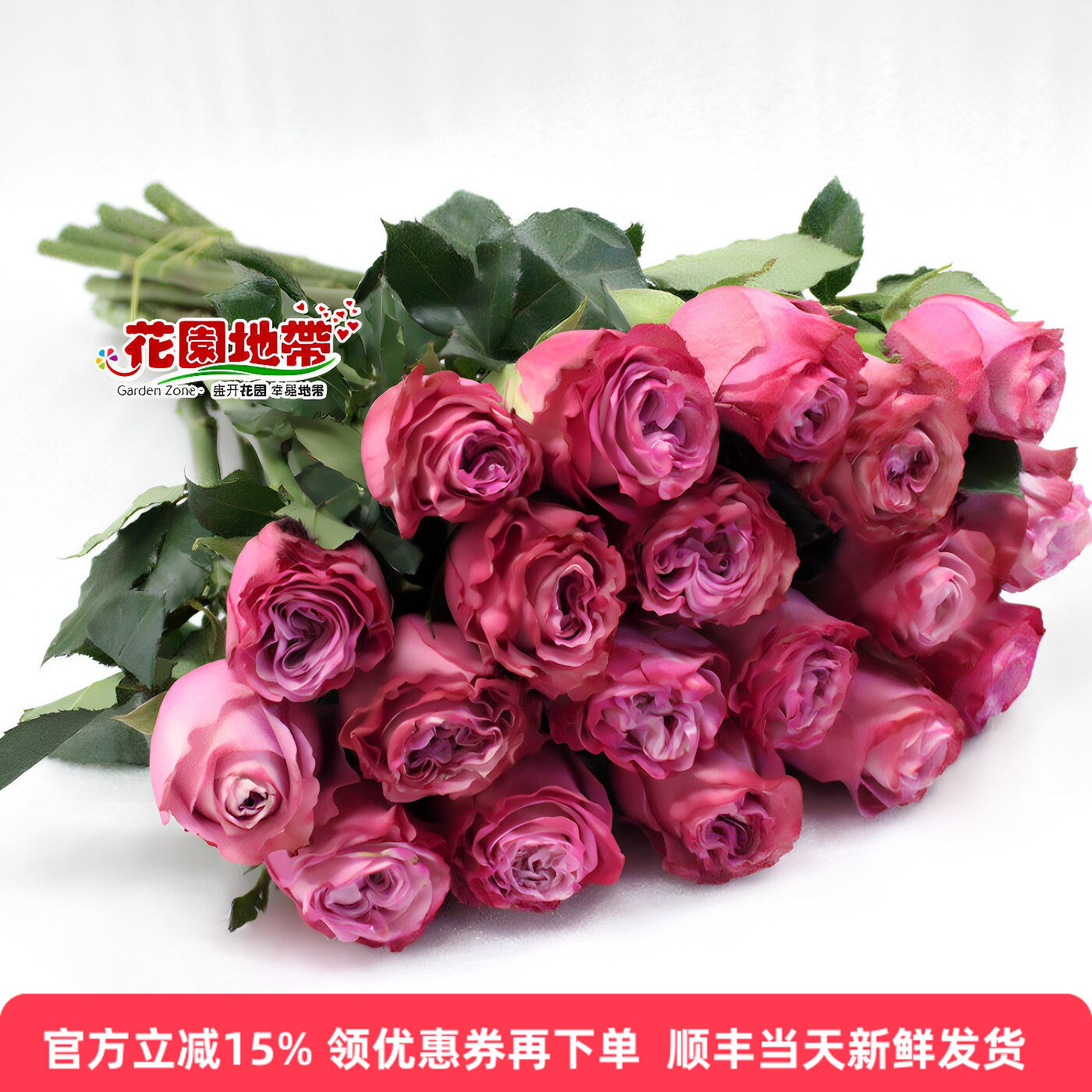 云南昆明花卉紫色爱情婚礼玫瑰