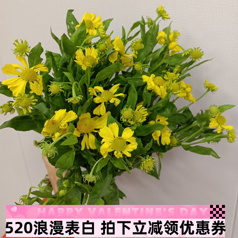 油画黄小菊蛋花雏菊水养个性趣味花艺插花生日送礼闺蜜画廊写生花