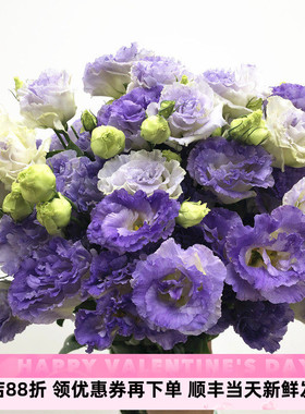 烟紫色龙胆洋桔梗鲜花 高端国产A级品质水培花艺插花生日礼物速递