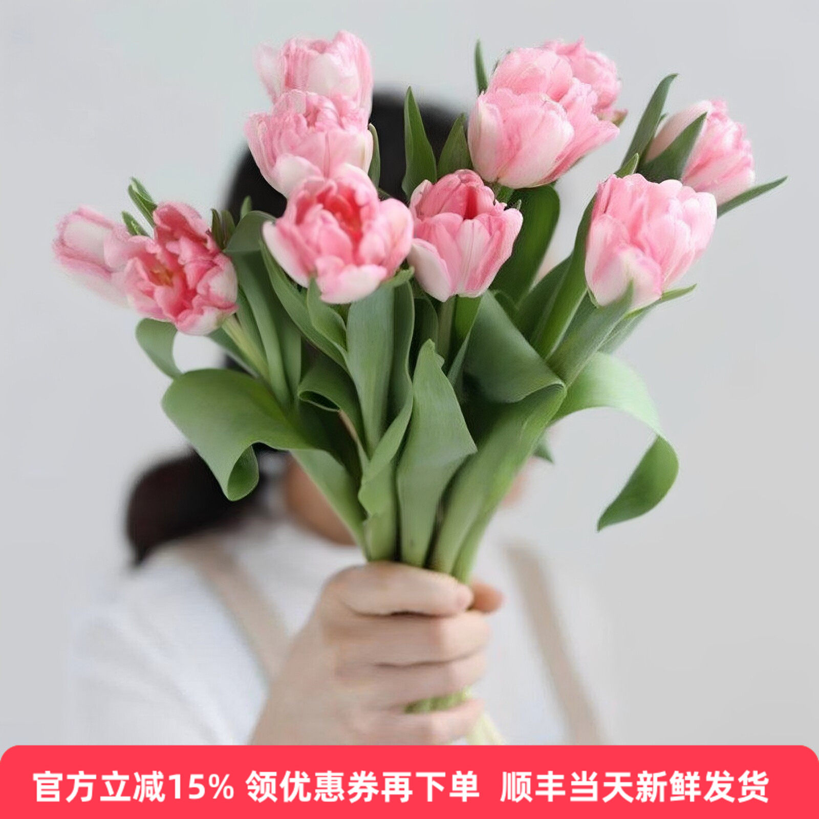 浅粉重瓣郁金香鲜花同城速递