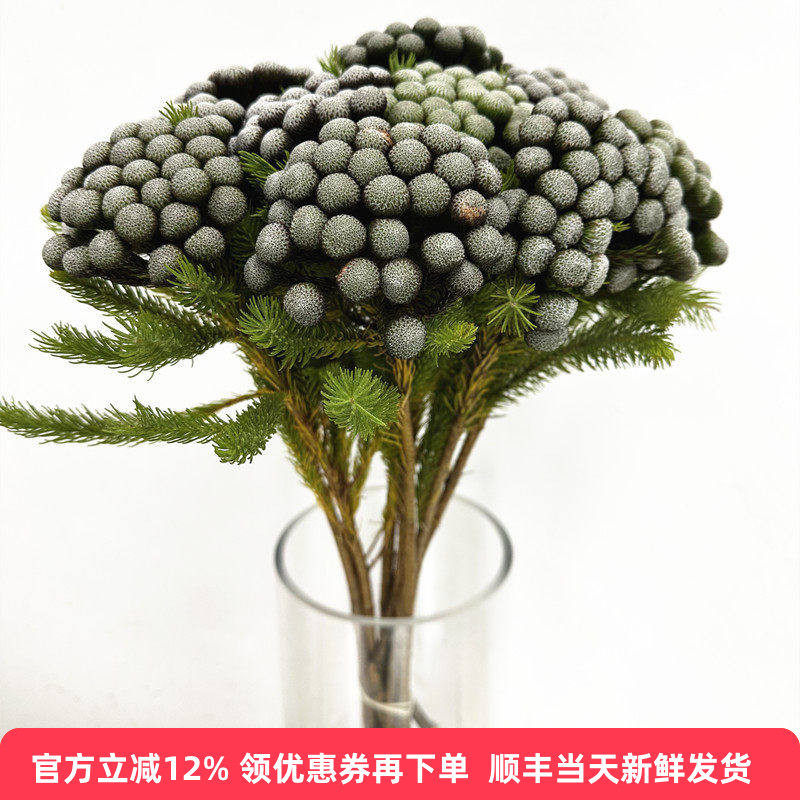 染色干花珊瑚果花卉永生花装饰家居生活插花生日礼物北京同城速递