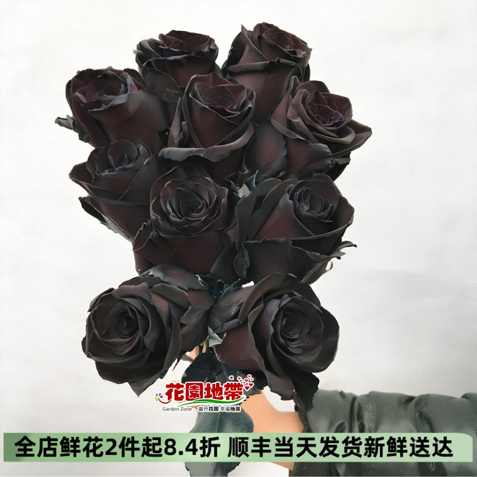 厄瓜多尔进口黑玫瑰10枝鲜花礼物