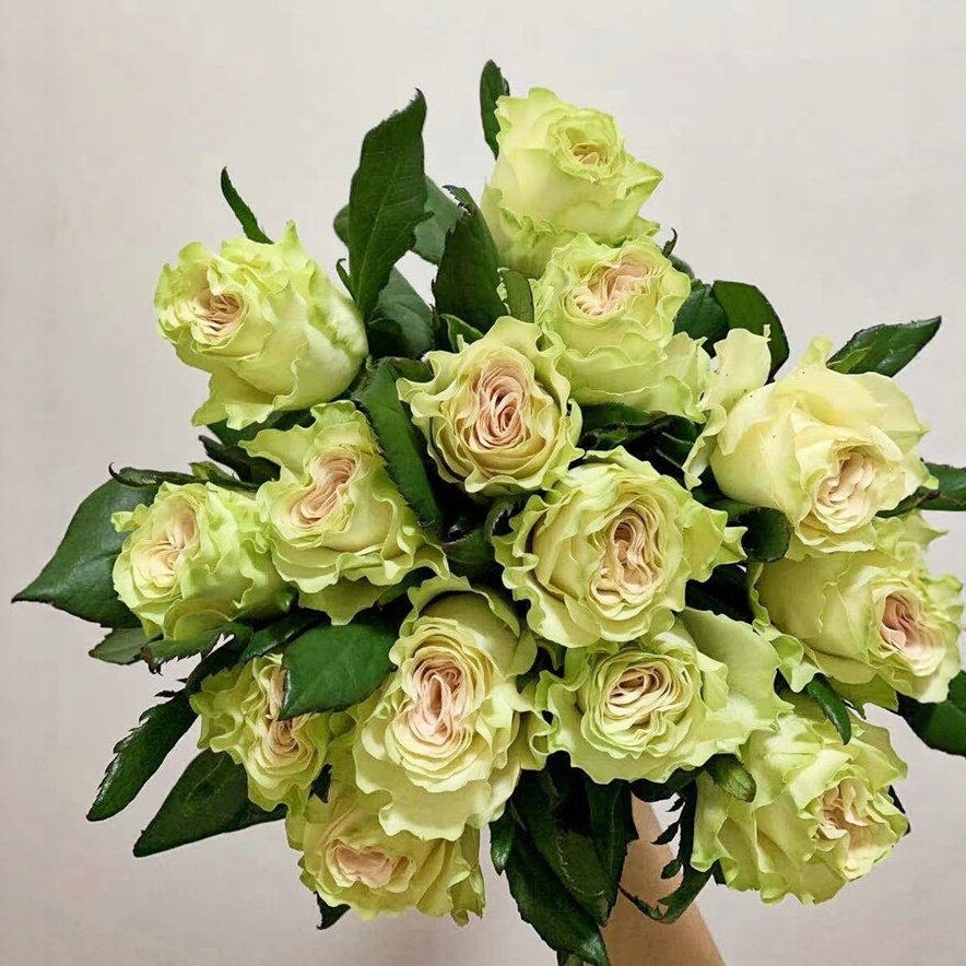 半杯花水培琉璃翠玫瑰花生日花束