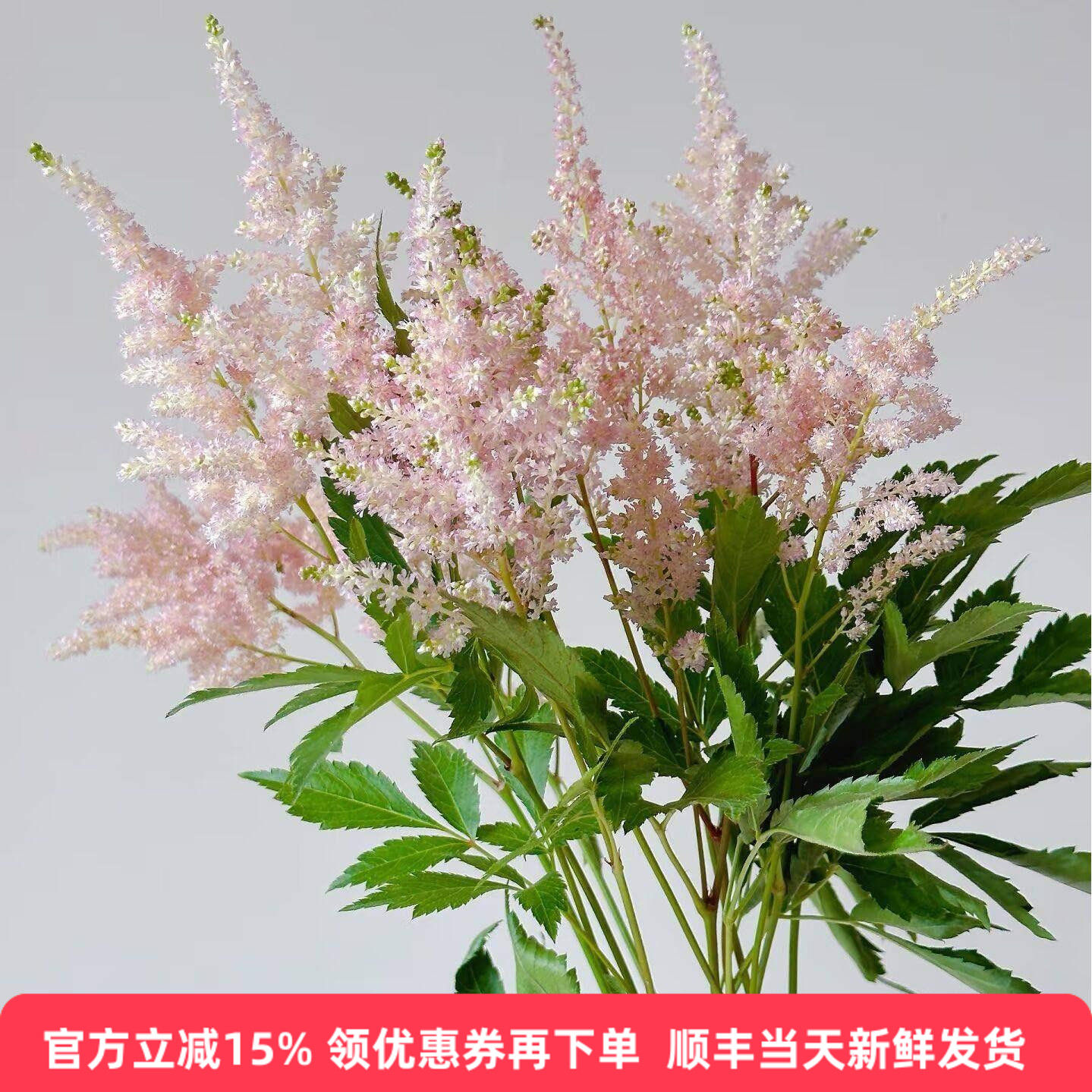 轻奢家庭插花荷兰进口络新妇