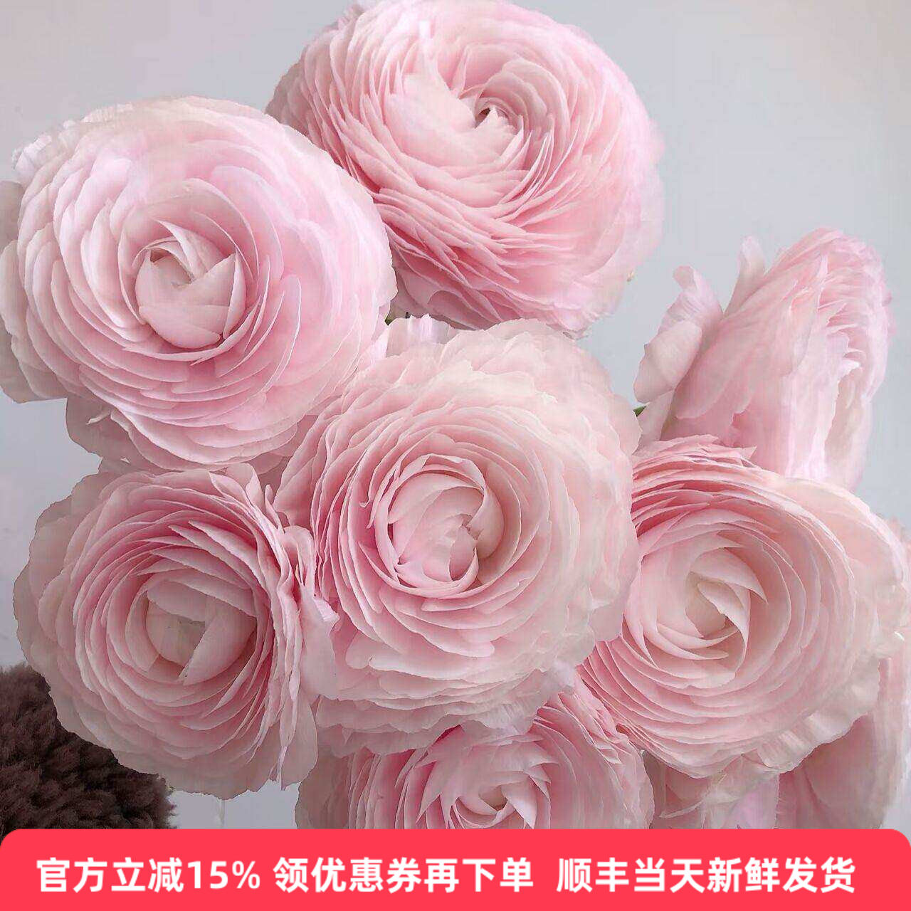 樱花粉洋牡丹巨型花束同城速递