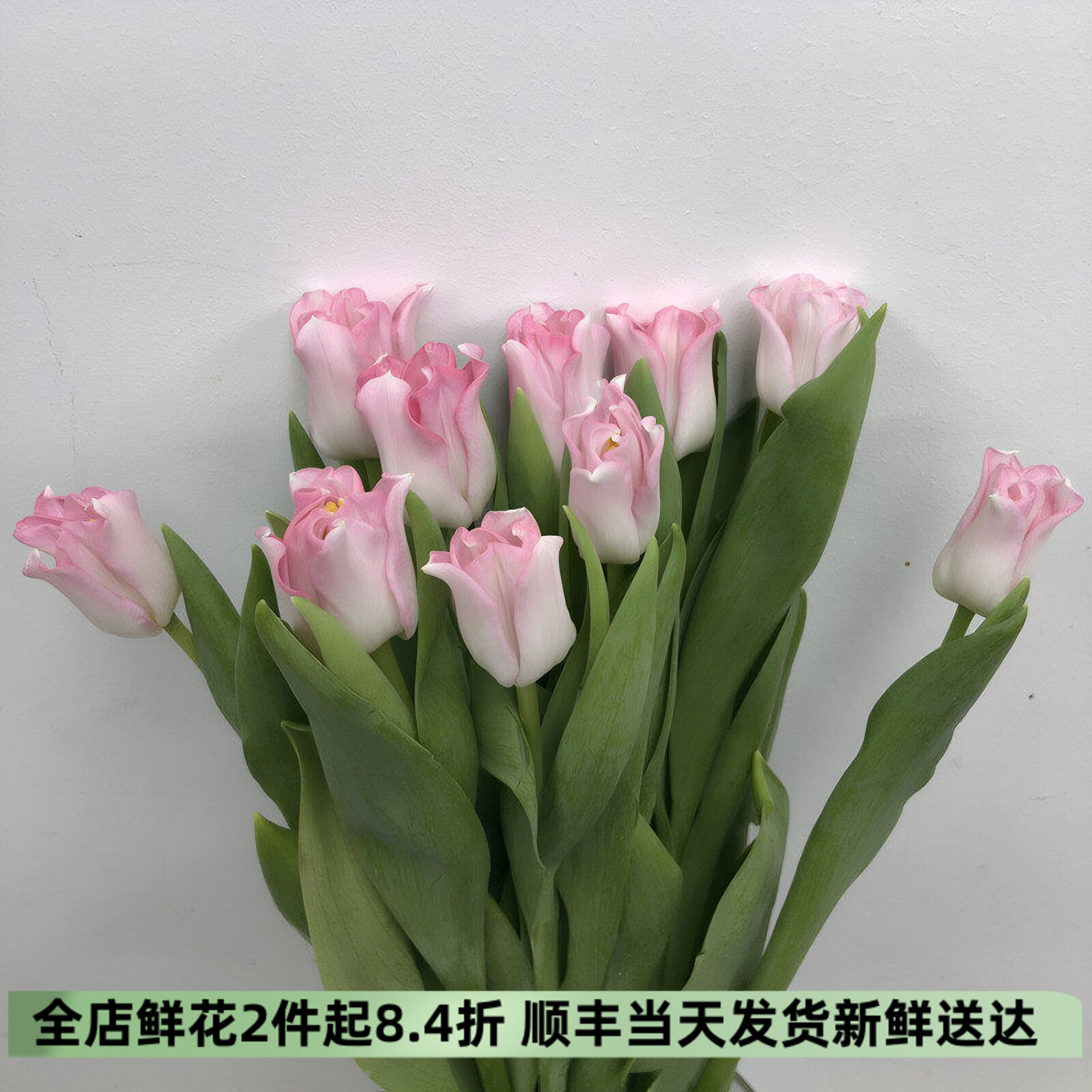 粉风铃贝尔郁金香鲜花高雅花艺