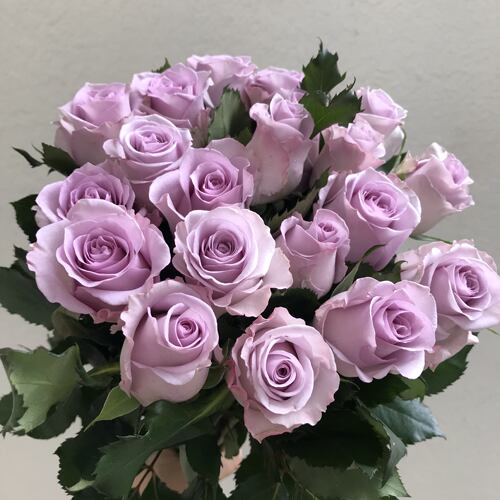 海洋之歌水培小朵紫色高冷玫瑰花
