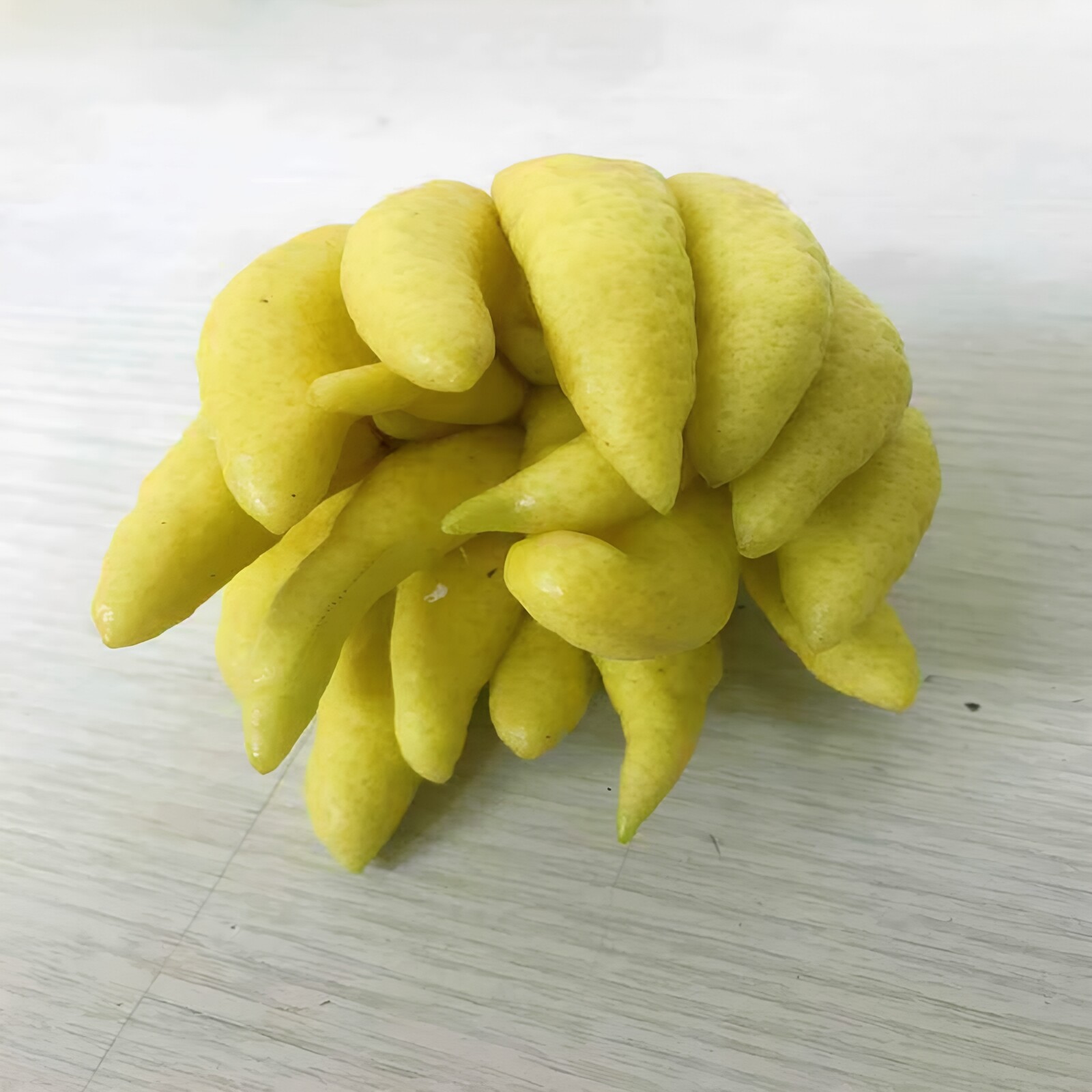 新鲜佛手柑鲜切果大佛手果可水培室内观赏花期长清新空气同城速递