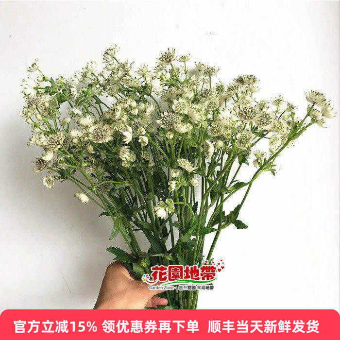 星芹鲜花婚礼手捧花室内插花同城