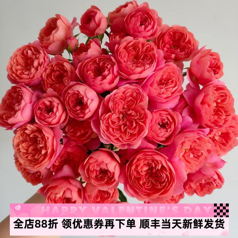 蔷薇花红果汁多头玫瑰水养瓶插花