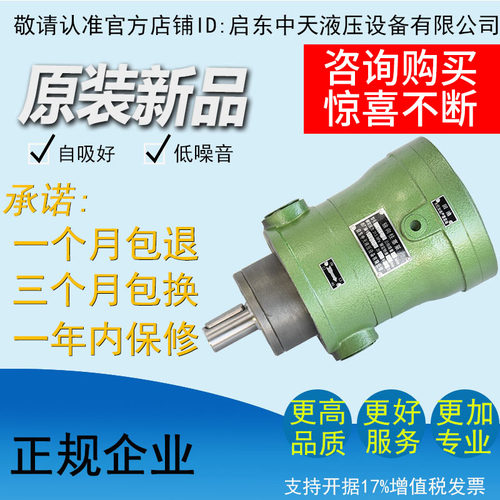 启东中天定量柱塞泵厂家直销