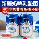 西域春奶啤300ML乳酸菌新疆网红饮料啤酒酸奶发酵整箱多口味桃味