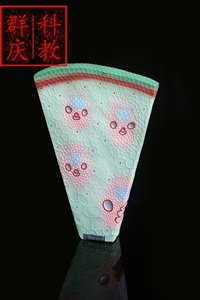 。单子叶植物茎模型 J33004 初中、高中生物实验器材 中学教学仪