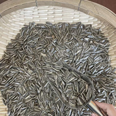 原味熟瓜子葵花籽2025新瓜子年货过年送礼聚会大人小孩休闲零食