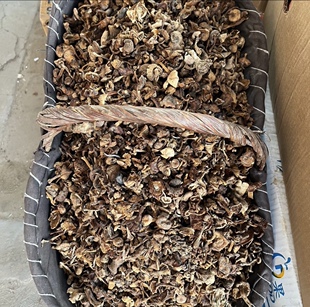 半斤起49.9元 野生小草蘑菇干 东北森林里