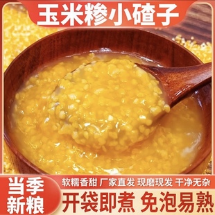 玉米小碴子 英弟农家小园玉米磨的玉米小碴子不打农药不下化肥