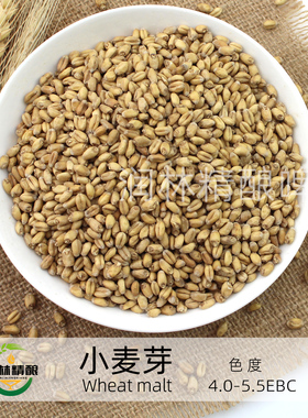 淡色小麦芽小麦芽Pale Wheat Malt精酿啤酒原料供应 啤酒烘焙麦芽