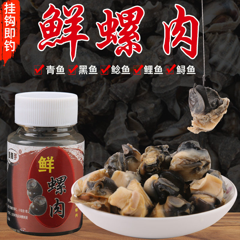 黑坑大螺肉鱼饵野钓鲫鱼青鱼鲤鱼图片