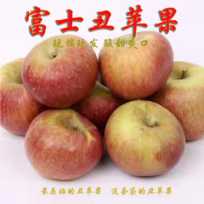 秦安大山没套袋富士光果丑苹果