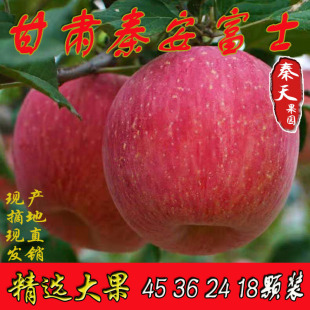 甘肃天水红富士正宗秦安水晶苹果新鲜大山自产孕妇特级精品大果