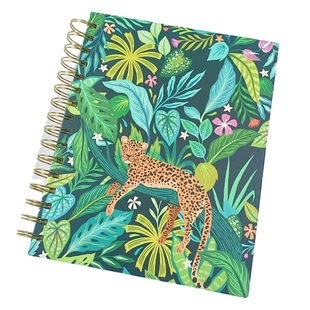 从林风学生笔记本记事本日记本学生文具印花卡通办公用品备忘录