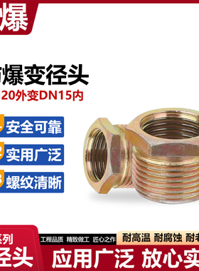 防爆变径头 DN20外丝变DN15内丝 广泛实用螺纹清晰 防爆变径头