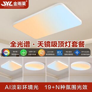 金雨莱新款轻奢高级自然光卧室智能天际晴天客厅圆天澜天镜吸顶灯
