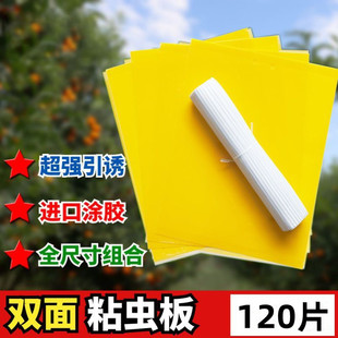 黄板双面粘虫板诱虫板贴纸灭小飞虫沾果蝇诱捕器果园蚊子苍蝇大棚