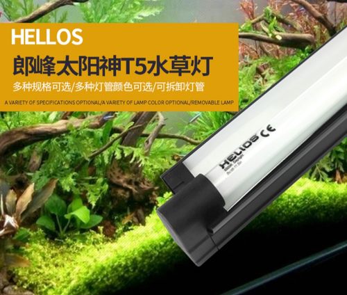 朗峰郎峰hellos太阳神超亮水草灯
