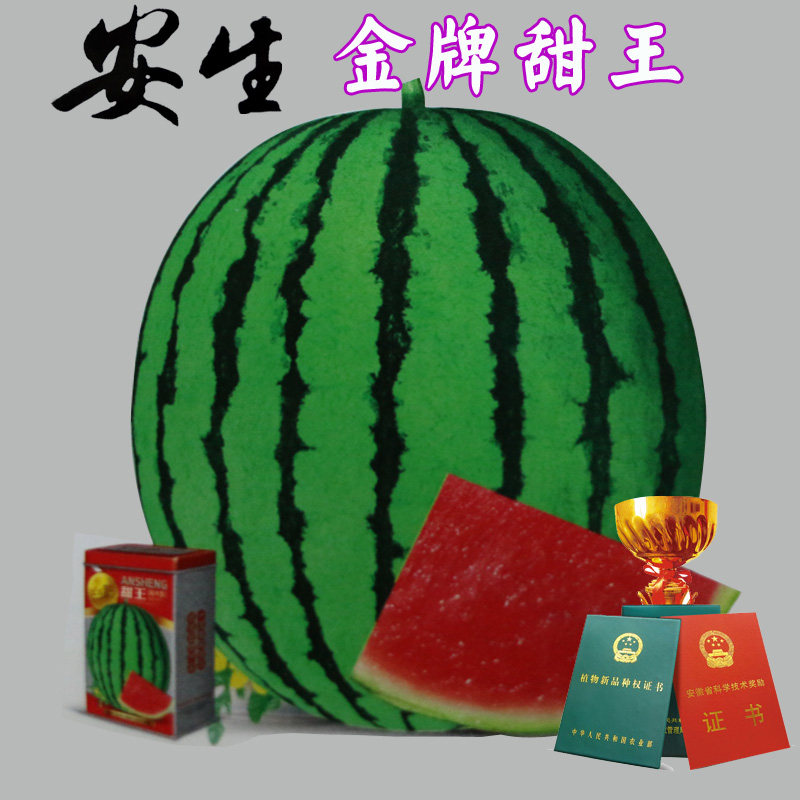 安生甜王西瓜种子甜王0号高品质瓜种早熟含糖14大红瓤原装1000粒