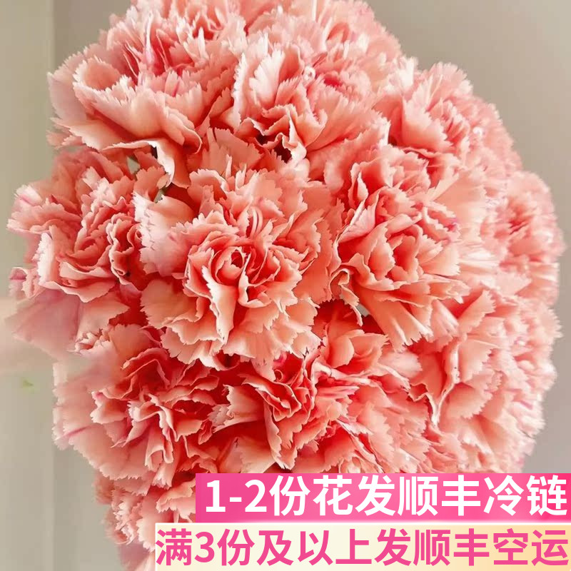 橙忆康乃馨客厅鲜花基地直发