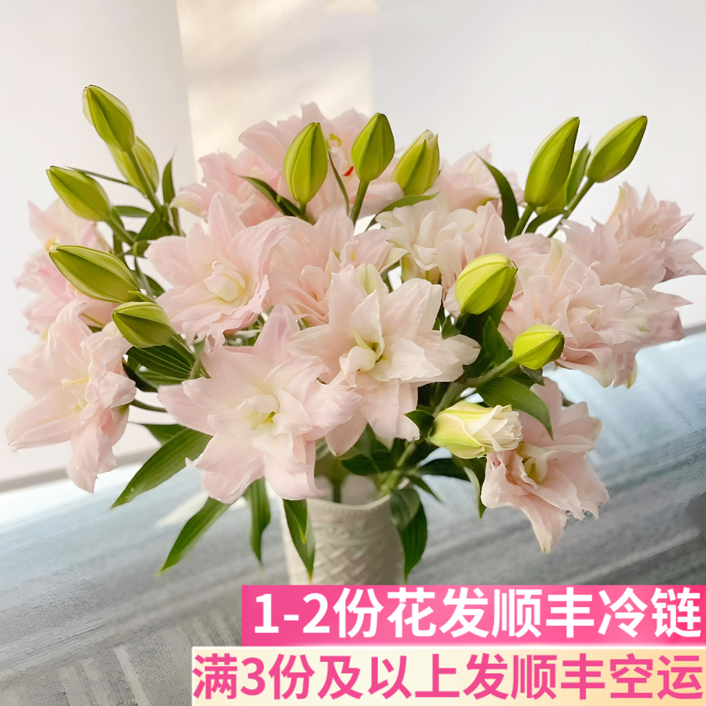 粉黛女神重瓣百合花浅粉色