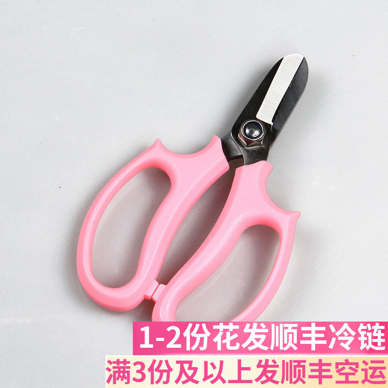 剪刀鲜花基地直发插花市场斗南花市云南昆明水养花束家用修枝剪钳
