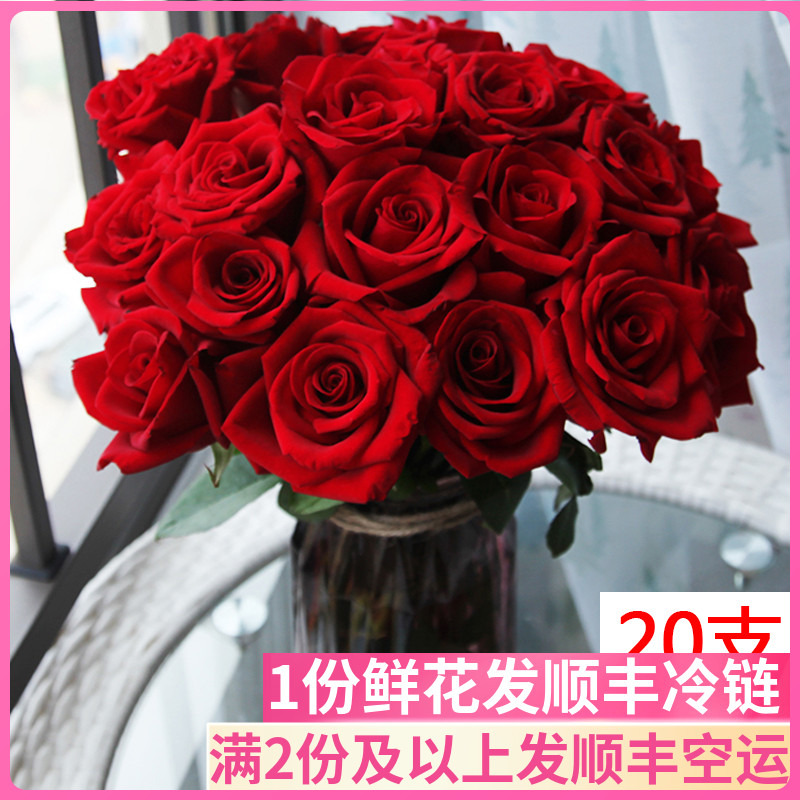 卡罗拉红玫瑰鲜切花基地直发