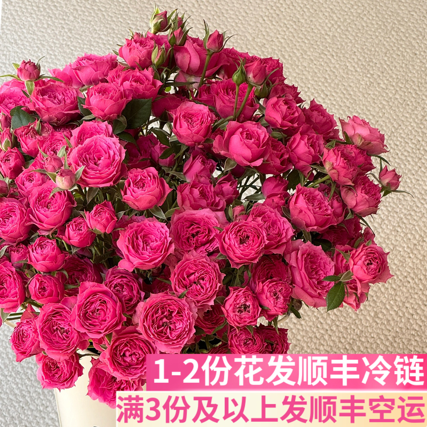 苏菲宝贝多头玫瑰泡泡插花
