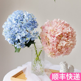 绣球鲜花云南直发昆明基地花卉插花水培新鲜真花斗南花市市场水养