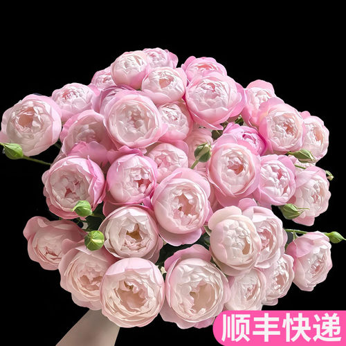 草莓杏仁饼多头玫瑰泡泡客厅插花