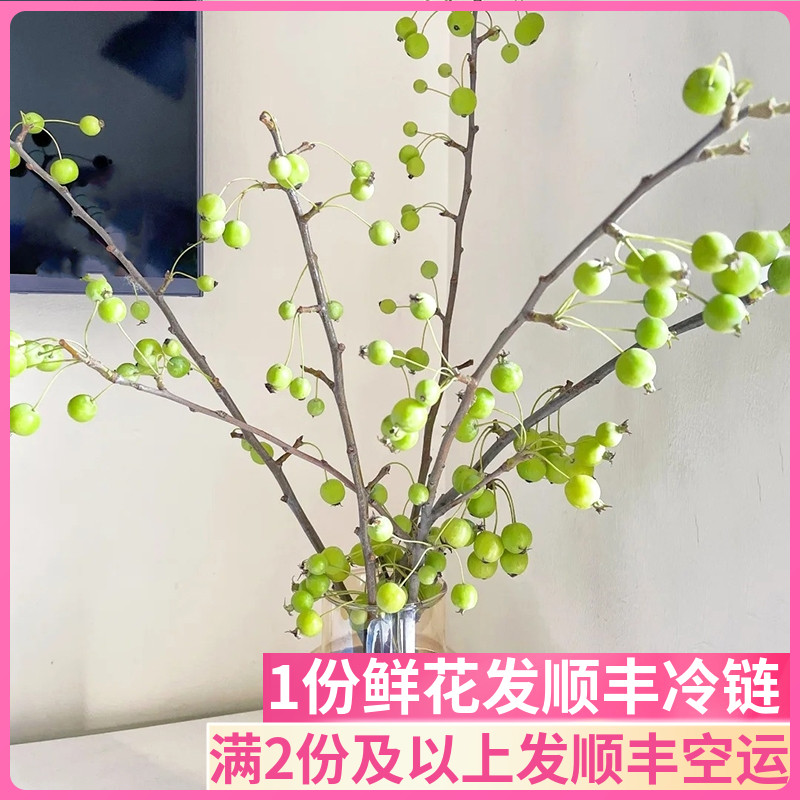 绿色海棠果鲜切枝基地直发