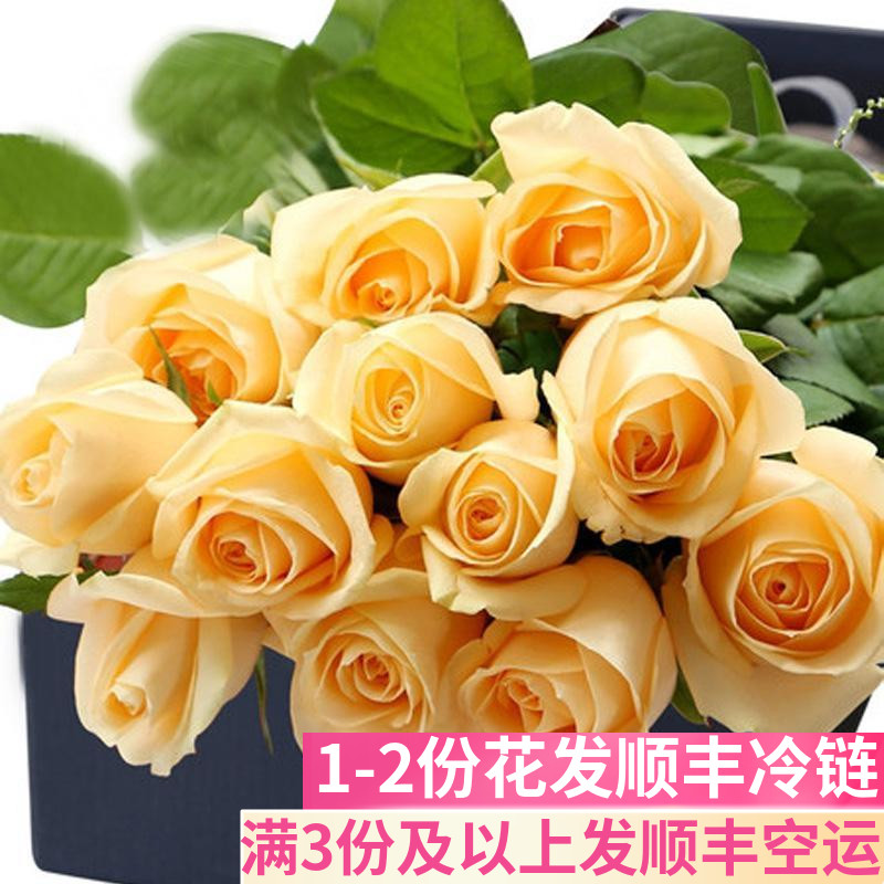 香槟色玫瑰花鲜花基地直发