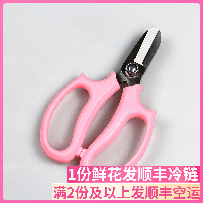 剪刀鲜花基地直发插花云南昆明