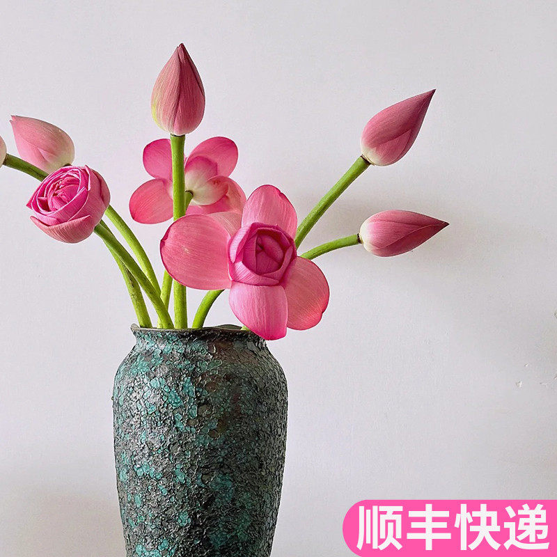 荷花莲蓬鲜切莲花水养夏季观赏斗南鲜花基地直发花卉市场顺丰真花