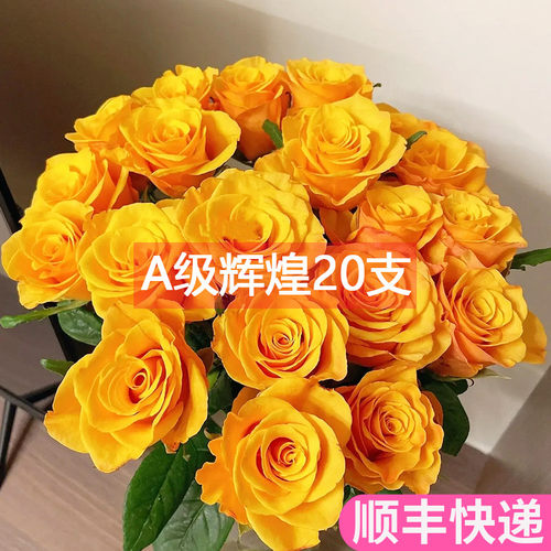 A级辉煌玫瑰花鲜花基地直发