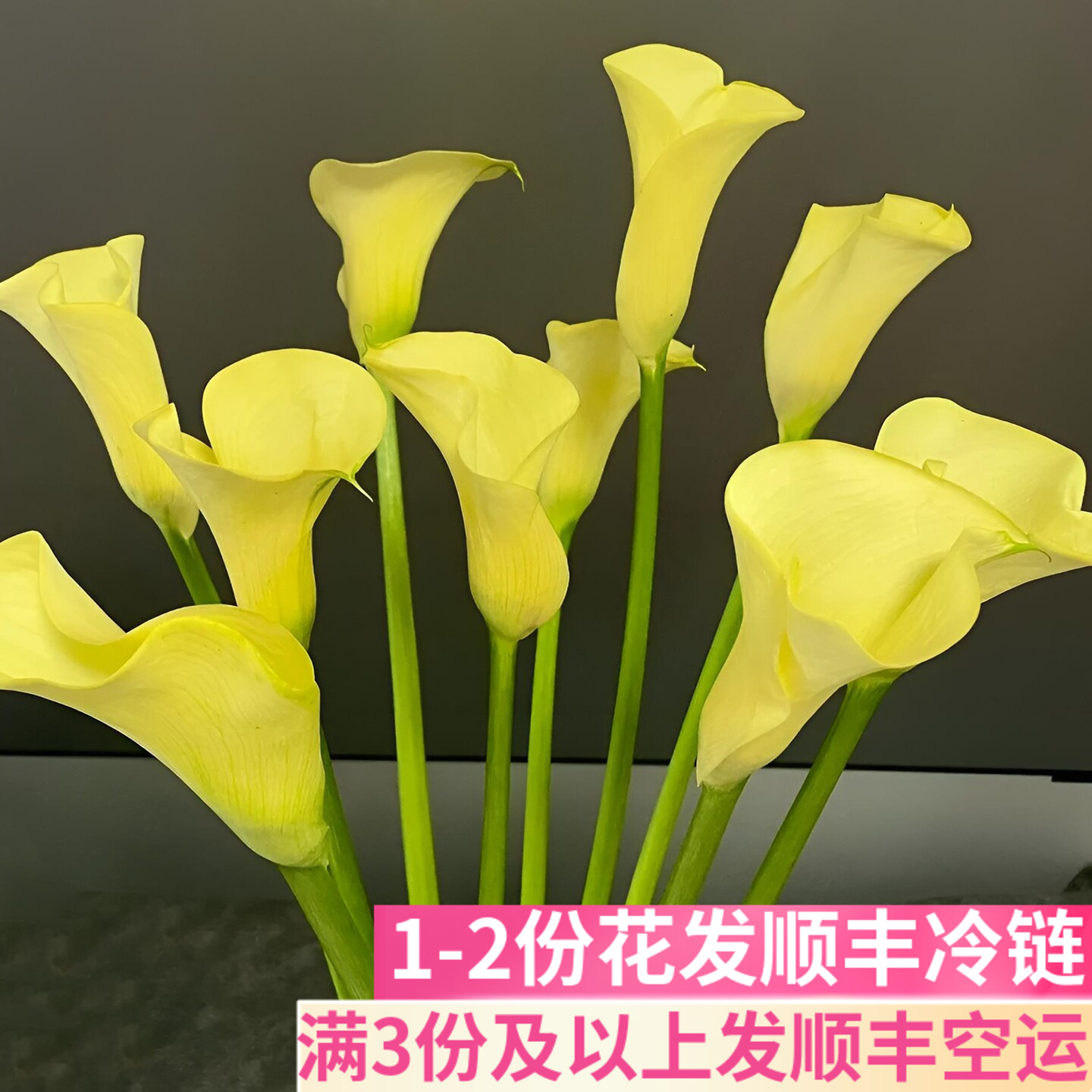 黄色马蹄莲鲜花鲜切花商务插花