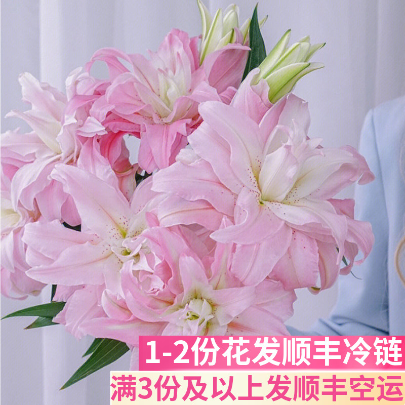 粉蝶戴安娜重瓣百合花客厅插花