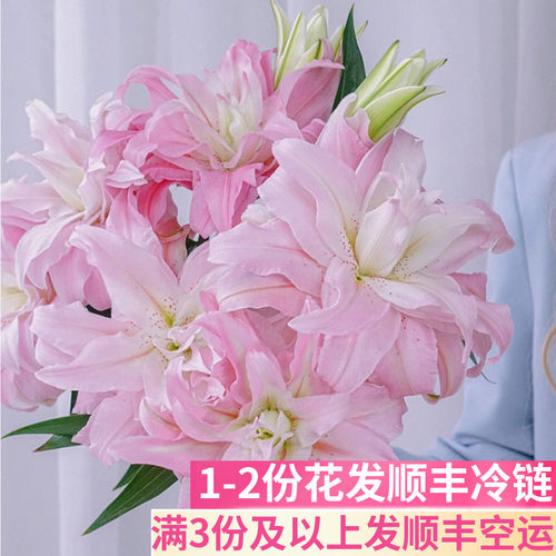 粉蝶戴安娜重瓣百合花客厅插花
