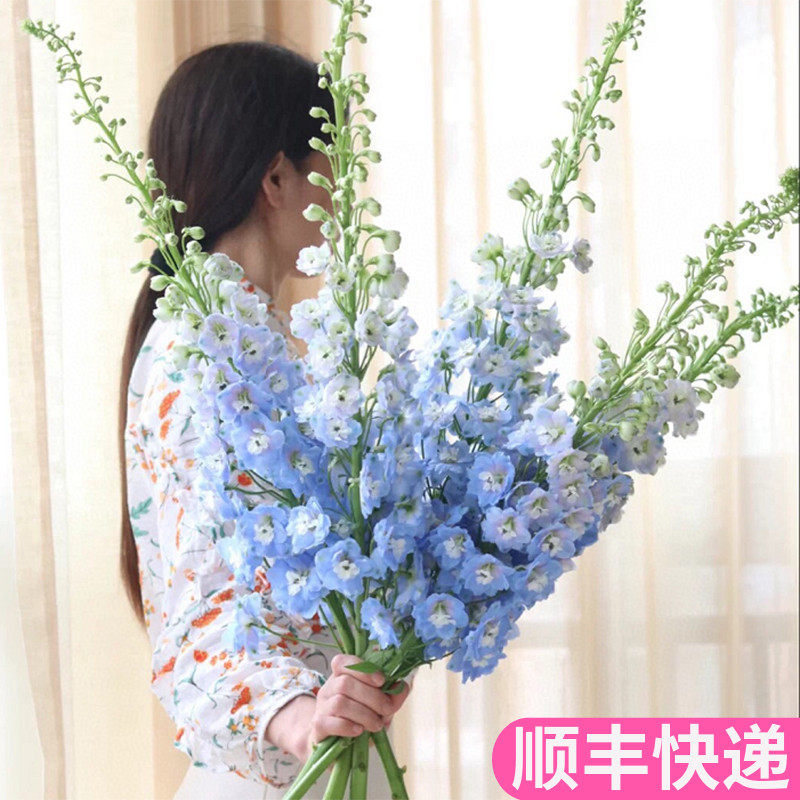 大飞燕云南斗南鲜花基地直发昆明花卉市场批鲜切花发插花婚庆花店