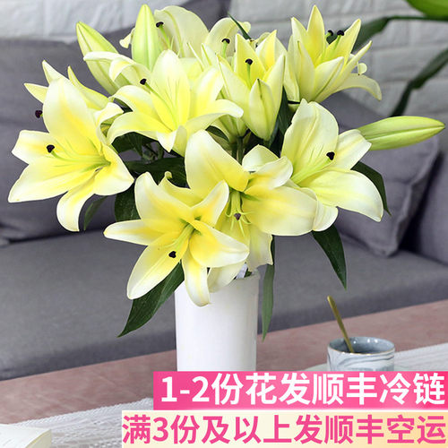 新鲜百合花鲜花客厅插花